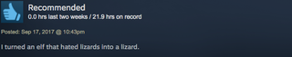 Illustration for article titled Divinity: Original Sin 2, As Told By Steam Reviews